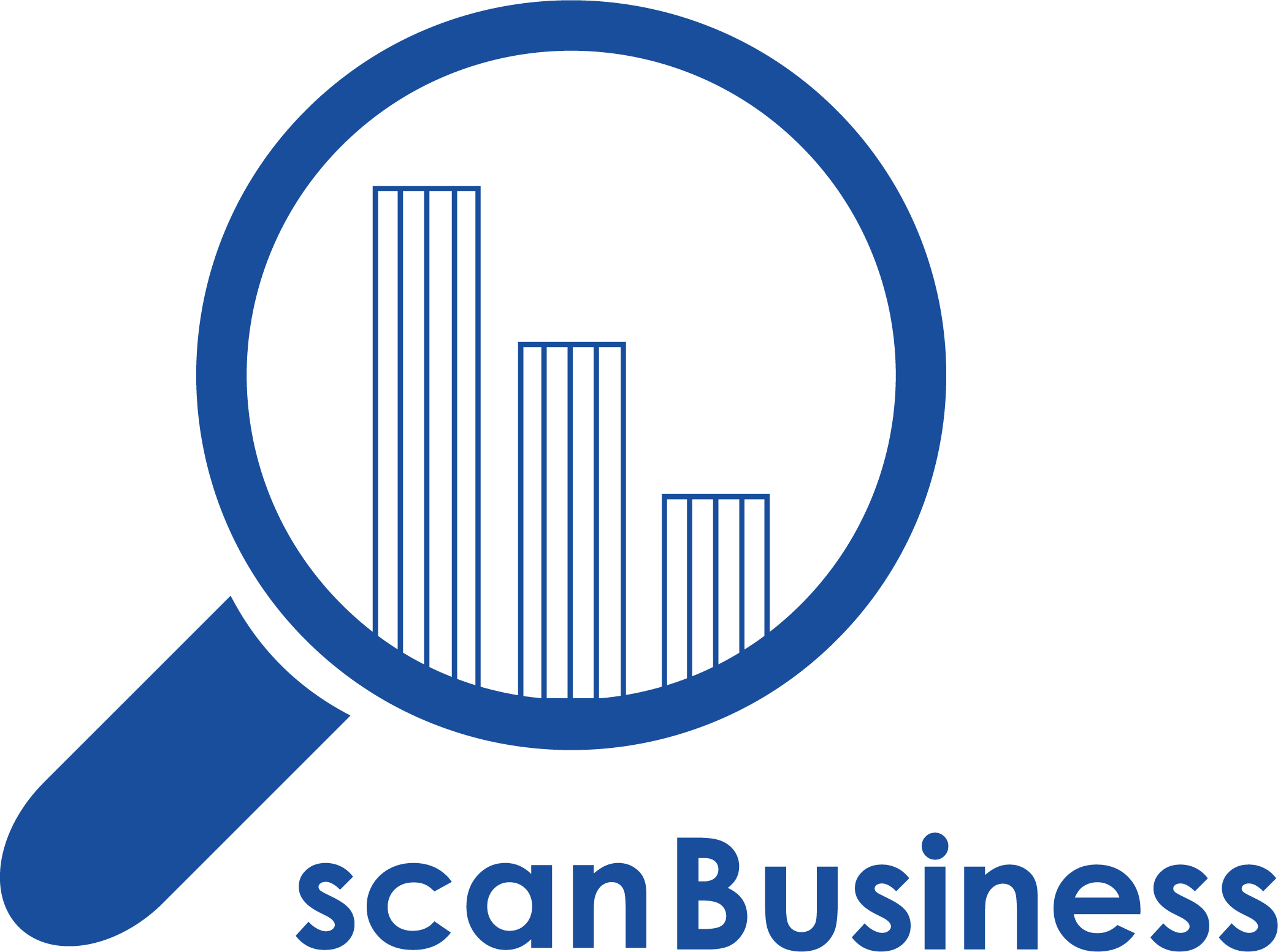 سامانه آسیب شناسی، عارضه یابی و بازآفرینی کسب و کار